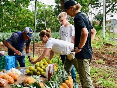 Am Straßenrand stehen mehrere frische Ananas und andere Früchte auf einem Holztisch, während Menschen miteinander interagieren.