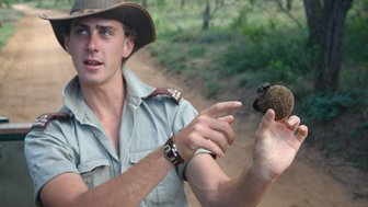Naturführer erklärt ein Insekt während einer Safari – Südafrika mit Kindern