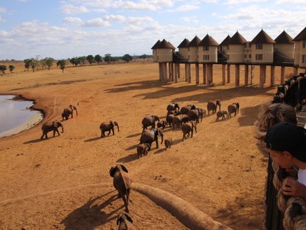 Eine Gruppe von Elefanten wandert durch die trockene Savanne, während ein Safari-Lodge im Hintergrund sichtbar ist.