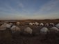 Blick über Jurtencamp am Abend - Usbekistan mit Kindern