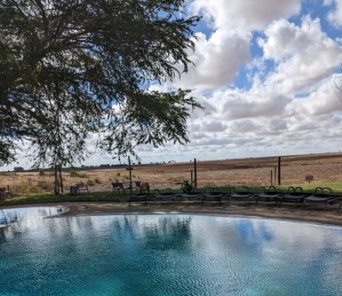 Ein glitzernder Pool spiegelt den Himmel mit Wolken wider, umgeben von einer ruhigen Landschaft und bequemen Liegen.