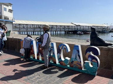 Eine Familie steht vor einem bunten Paracas-Schild, während ein Seelöwe in der Nähe auf einem Stein sitzt.