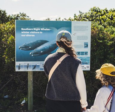 Zwei Personen betrachten ein Informationsschild über Südkaperwale an einem sonnigen Tag in der Natur.