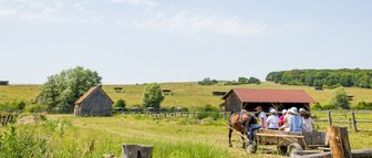 Eine Gruppe von Menschen sitzt auf einem Wagen, der von einem Pferd auf einer grünen Wiese gezogen wird, umgeben von ländlicher Idylle.