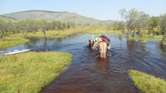 Zwei Pferde mit Reitern durchqueren einen flachen, glitzernden Wasserlauf in einer grünen, hügeligen Landschaft.
