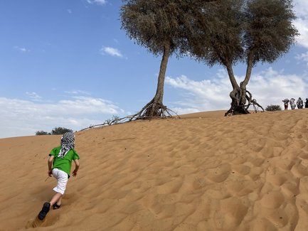 Ein Junge in einem grünen T-Shirt läuft den Sanddünen hinauf, während zwei Bäume im Hintergrund stehen.
