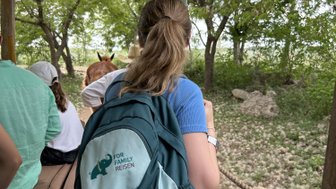 Eine Person mit einem Rucksack sitzt auf einer Bank und schaut auf eine grüne Landschaft mit Bäumen und einem Pferd.