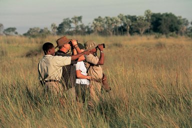 Reisegruppe mit Guide auf Safari nutzt Ferngläser zur Tierbeobachtung in der Savanne – Südafrika Familienreise