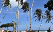 Strandfoto mit Palmen bei blauem Himmel - Sri Lanka Summer Family & Teens - Sri Lanka mit Teenagern