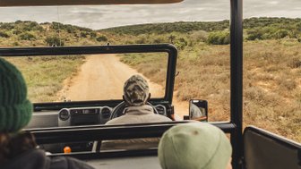 Familie im Jeep bei einer Safari im Addo - Südafrika mit Kindern