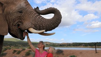 Mutter und Kind erleben gemeinsam die Elefantenfütterung in der Buffelsdrift Game Lodge – Garden Route Familienreise