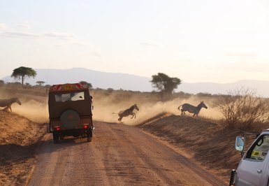 Eine Jeep-Safari durch Tsavo East Nationalpark, während Zebras in der Staubwolke umherlaufen.