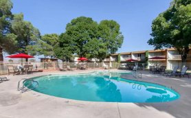 Ein einladender Poolbereich mit Sonnenschirmen und Liegen, umgeben von üppigem Grün und einem klaren blauen Himmel.