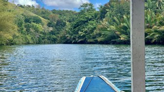 Ein ruhiger Fluss schlängelt sich durch üppige grüne Landschaften, umgeben von hohen Palmen und sanften Hügeln.