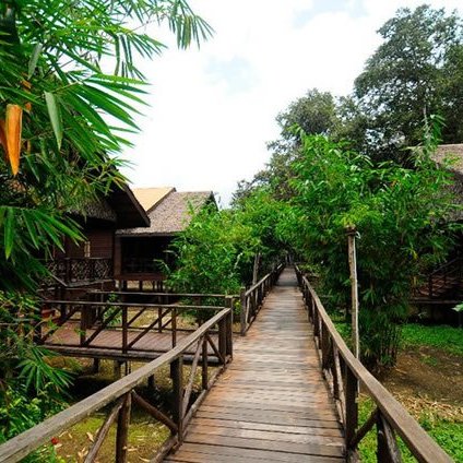 Verbindungssteg der Bilit Rainforest Lodge im Regenwald – Malaysia & Borneo Familienreise
