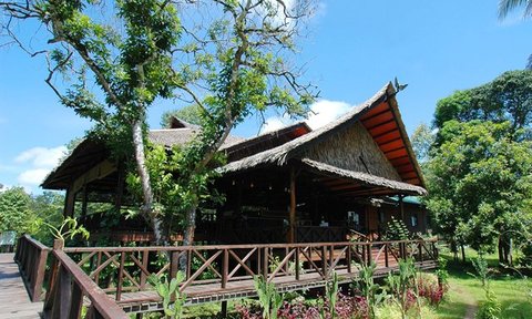 Unterkunft der Bilit Rainforest Lodge mit Veranda inmitten tropischer Vegetation – Malaysia & Borneo Familienreise