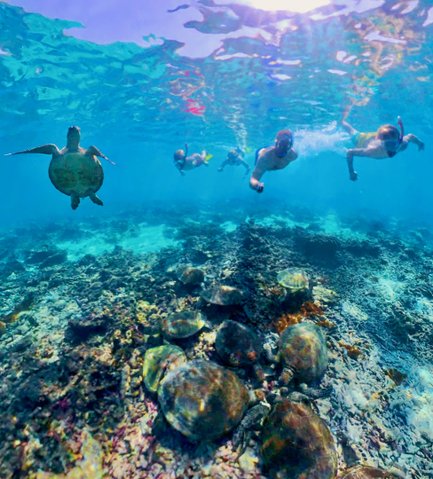 Familie schnorchelt unter Wasser bei den Daymaniyat Inseln – Oman mit Kindern