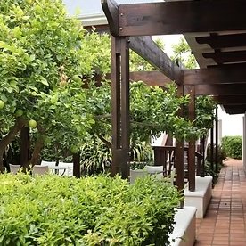 Ein gepflegter Garten mit üppigem Grün und Holzpergolen, die eine einladende Atmosphäre schaffen.