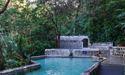 Ein klarer Außenpool, umgeben von üppigem Grün und Bäumen, lädt zur Entspannung in der Natur ein.