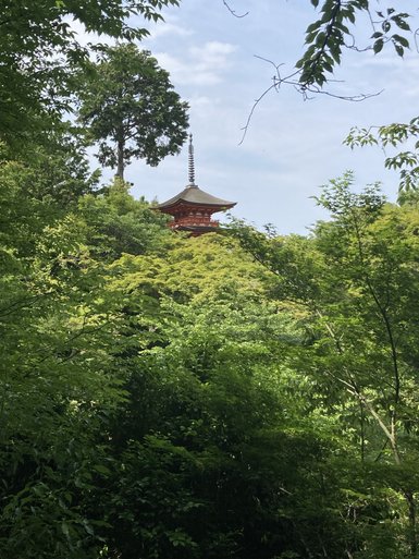 Ein roter Tempel erhebt sich majestätisch über das grüne Blätterdach, umgeben von üppiger Natur und einem blauen Himmel.
