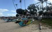 Boot am Palmenstrand - Sri Lanka Reise mit Jugendlichen