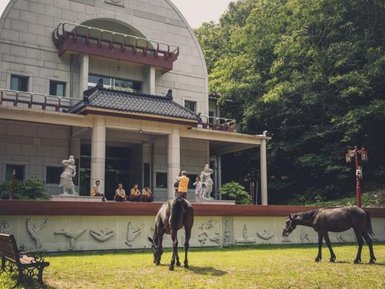 Zwei Pferde grasen friedlich auf einer Wiese vor einem modernen, asiatisch inspirierten Gebäude mit Statuen.