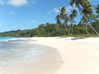 Ein malerischer Strand mit feinem, weißem Sand und sanften Wellen, umgeben von üppigen Palmen und grünem Hügel.