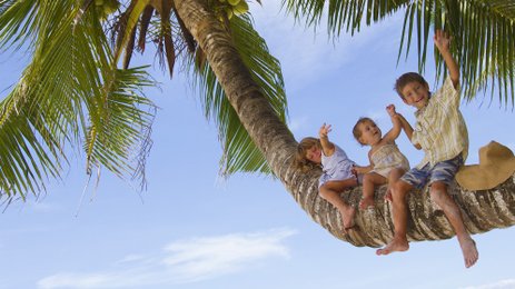 Drei fröhliche Kinder sitzen auf einem dicken Baumstamm, umgeben von Palmen und strahlend blauem Himmel.
