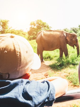 Junge im Jeep beobachtet einen Elefanten in der grünen Landschaft – Sri Lanka Reise mit Kindern