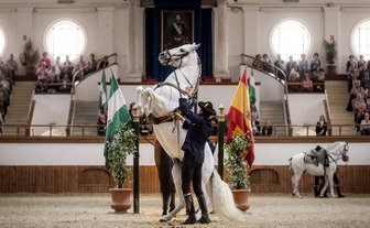 Ein Reiter in traditioneller Kleidung führt ein weißes Pferd, das auf den Hinterbeinen steht, in einer eleganten Reitkunstvorführung.