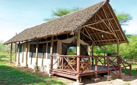 Ein Zelt mit Strohdach steht in einer grünen Umgebung, umgeben von Bäumen und Gras, ideal für einen Natururlaub.