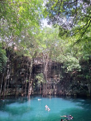 Ein klarer, türkisfarbener Cenote umgeben von üppigem Grün, in dem Menschen entspannt schwimmen und die Natur genießen.