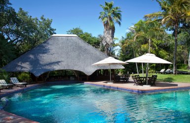 Ein einladender Poolbereich mit einem schattigen Dach und Liegen, umgeben von üppigem Grün und Palmen unter klarem Himmel.