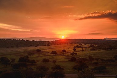 Ein atemberaubender Sonnenuntergang über einer weiten, grünen Landschaft mit sanften Hügeln und vereinzelten Bäumen.