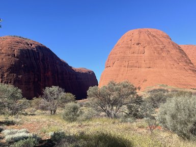 Die beeindruckenden Kata Tjuta-Felsen heben sich dramatisch vor einem strahlend blauen Himmel ab, umgeben von trockenem Gras.