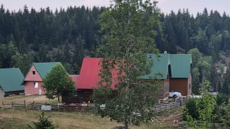 Ein weites Landschaftsbild zeigt mehrere Holzhäuser mit bunten Dächern inmitten von Bäumen und einer grünen Wiese.