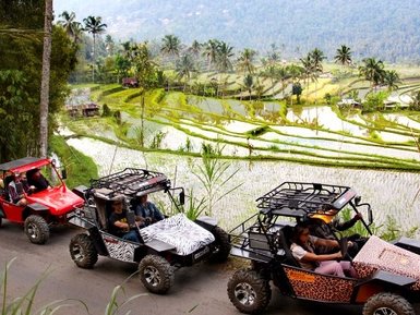 Quad-Buggys abgestellt bereit für eine Tour – Bali Reise mit Kindern