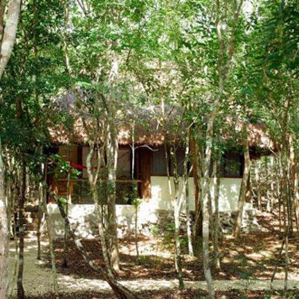 Eine gemütliche Hütte mit Strohdach, umgeben von üppigem, grünem Wald und sanften Lichtstrahlen, die durch die Bäume fallen.