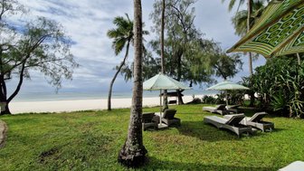 Ein ruhiger Strandbereich mit Liegen und Sonnenschirmen, umgeben von Palmen und grünem Gras, unter einem bewölkten Himmel.