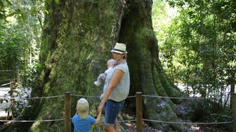Mutter mit Baby und Kind vor großem Baum im Tsitsikamma Nationalpark – Garden Route Reise mit Kindern