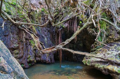 Ein versteckter Wasserfall fließt sanft in ein ruhiges, klares Becken, umgeben von moosbedeckten Felsen und dichten Ästen.