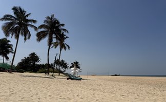 Ein ruhiger Strand in Goa mit feinem, hellem Sand und hohen Palmen, die sanft im Wind wiegen.