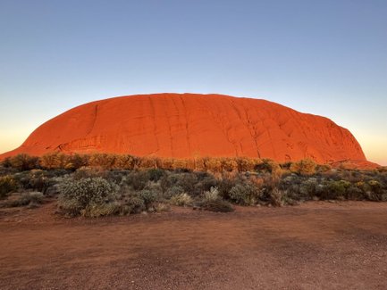 Der majestätische Ayers Rock leuchtet in warmen Rottönen während der Abenddämmerung, umgeben von üppiger, wilder Vegetation.