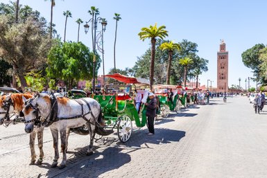 Traditionelle Kutschenwagen durch die Altstadt von Marrakesch – Marokko mit Kindern