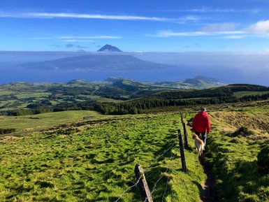 Ein Wanderer in roter Jacke geht mit einem Hund auf einem Pfad durch die grüne Landschaft, mit Blick auf das Meer.