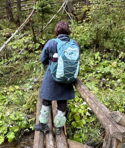 Eine Person mit einem Rucksack steht auf einer Holzbrücke über einem kleinen Bach, umgeben von üppigem Grün.