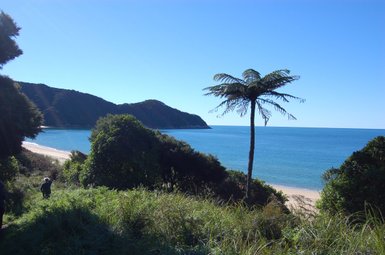 Ein einsamer Wanderer geht durch üppiges Gras in Richtung eines ruhigen Strandes, umgeben von sanften Hügeln und klarem Wasser.