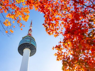 Der Namsan-Turm ragt majestätisch in den blauen Himmel, umgeben von leuchtend roten und orangefarbenen Herbstblättern.