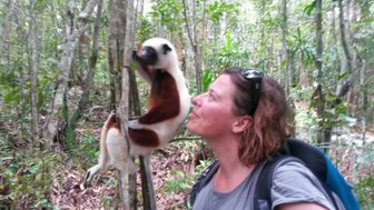 Eine Frau steht in einem dichten Wald und schaut liebevoll zu einem Sifaka, der an einem Baumstamm klettert.