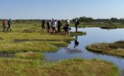 Eine Gruppe von Jugendlichen erkundet ein Moor, während sie in Gummistiefeln auf dem grünen Gras stehen und den Boden untersuchen.